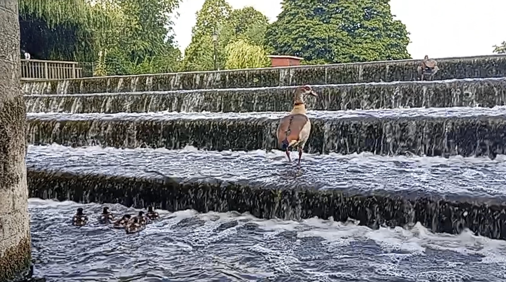 Paddlers at Bedford Weir